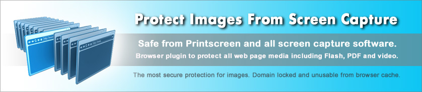 การปกป้องลิขสิทธิ์ของรูปภาพ Web Pages และ Web Media